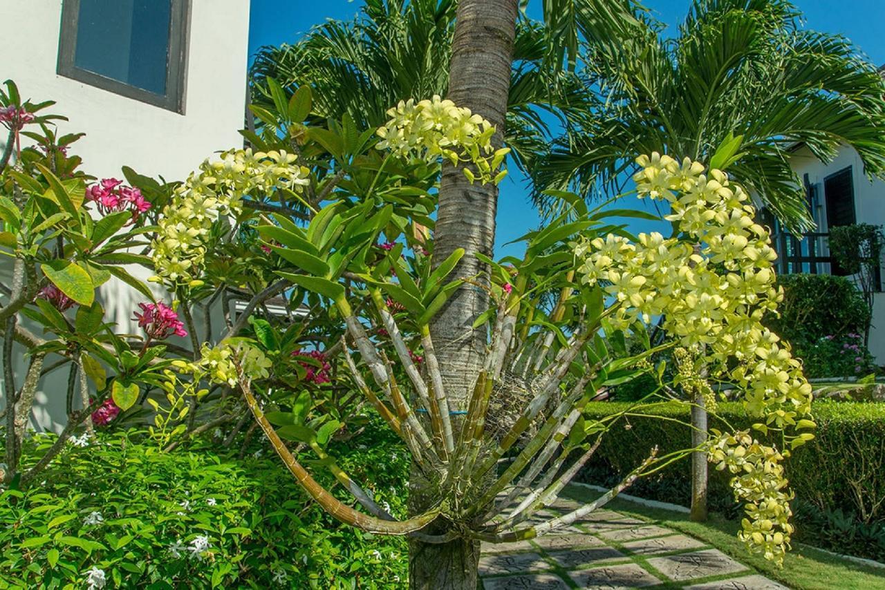 Luxury Villa Sleeps 6, Beach Access, 몬테고 베이 외부 사진